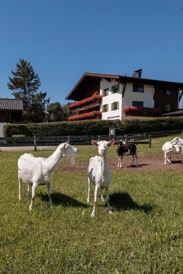 Gaestehaus Bramboeck